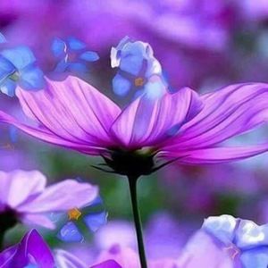 Meet your Posher, Linda